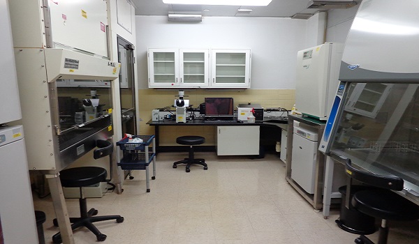 潔淨細胞培養室