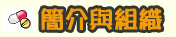 簡介與組織